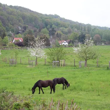 Stiegenstuebchen Am Weinberg Apartman *