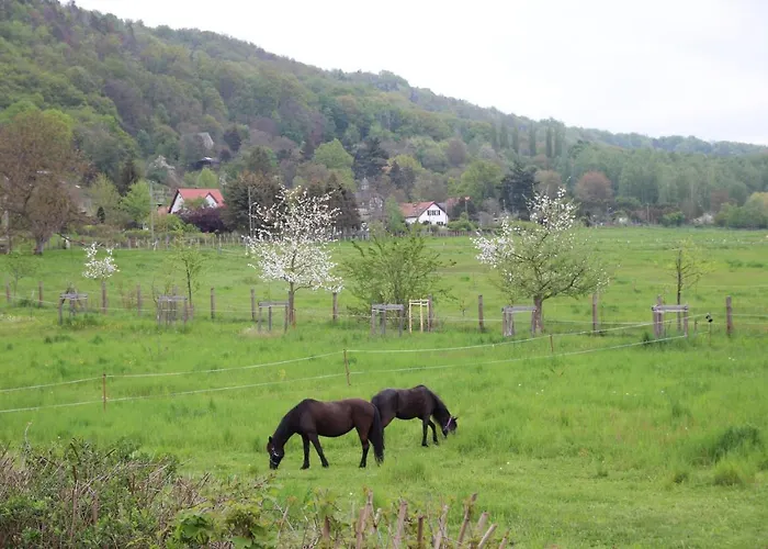 Stiegenstuebchen Am Weinberg Apartman *