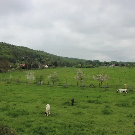 Stiegenstuebchen Am Weinberg דירה *