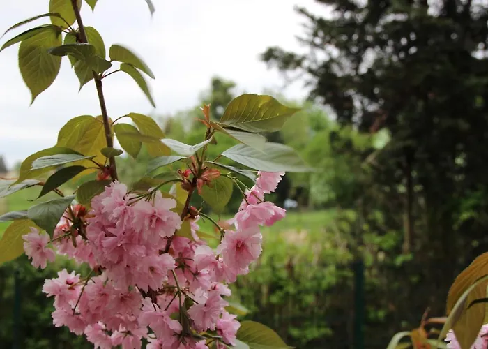 Stiegenstuebchen Am Weinberg * Dresden
