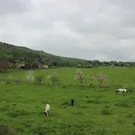 Stiegenstuebchen Am Weinberg شقة *