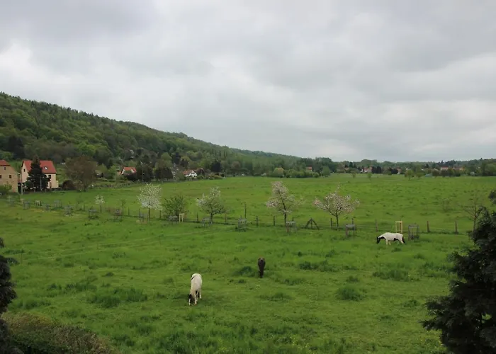 Stiegenstuebchen Am Weinberg Apartmán *